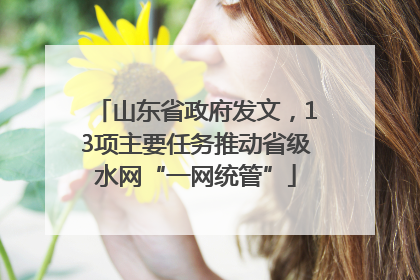 山东省政府发文，13项主要任务推动省级水网“一网统管”